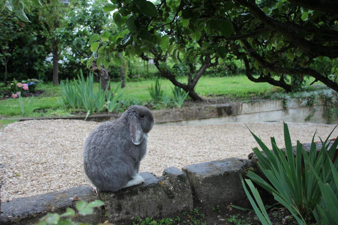Belle Vue Terrasse Bed & Breakfast Giverny Luaran gambar